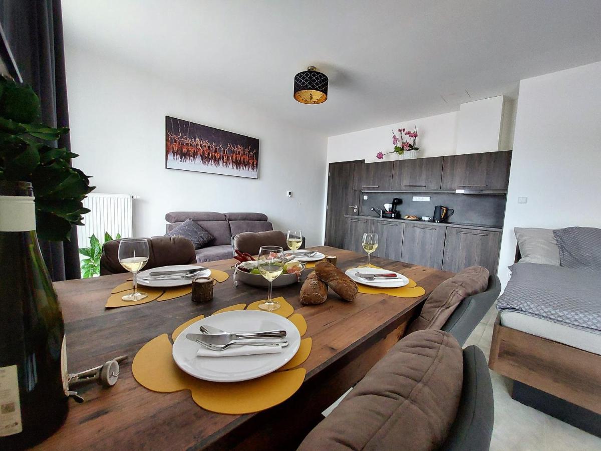Apartman Rezidence Javor Železná Ruda Buitenkant foto